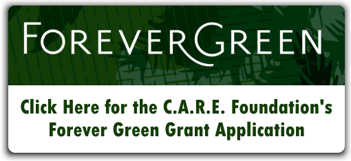 CARE Grant Button